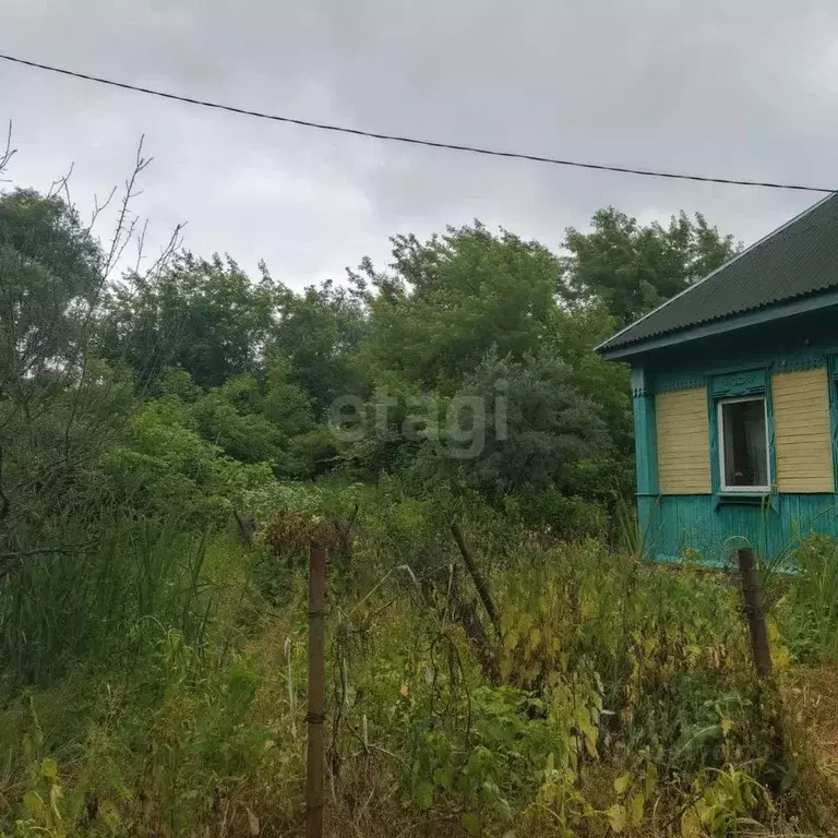 Дом в Брянская область, Суземский район, Алешковичское с/пос, д. ... - Фото 1