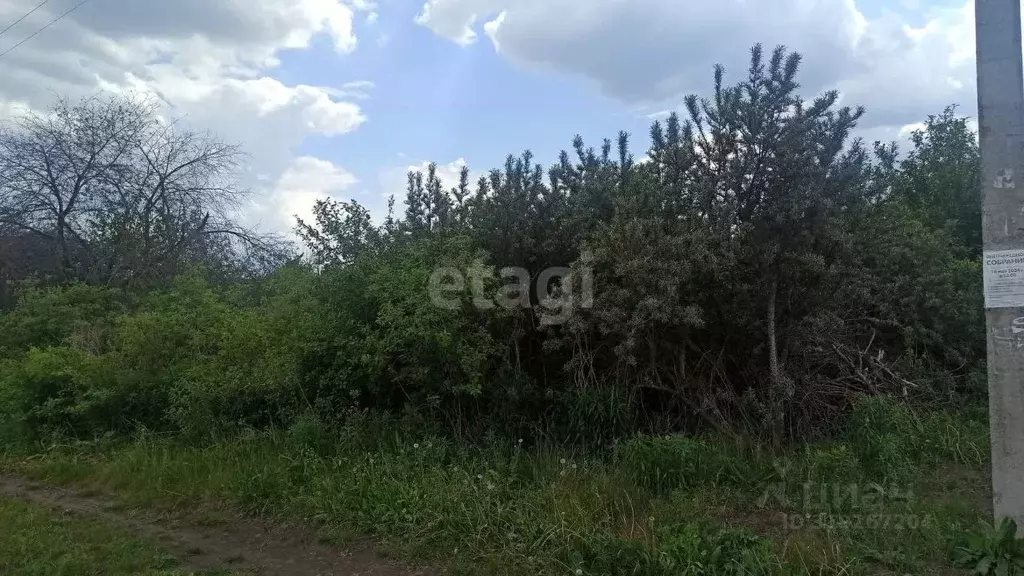 Участок в Белгородская область, Белгородский район, Беломестненское ... - Фото 1