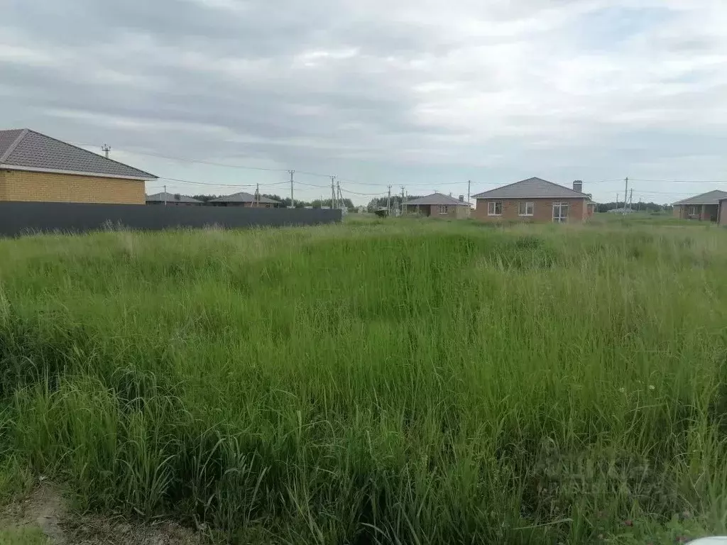 Участок в Московская область, Истра муниципальный округ, д. Бужарово  ... - Фото 1