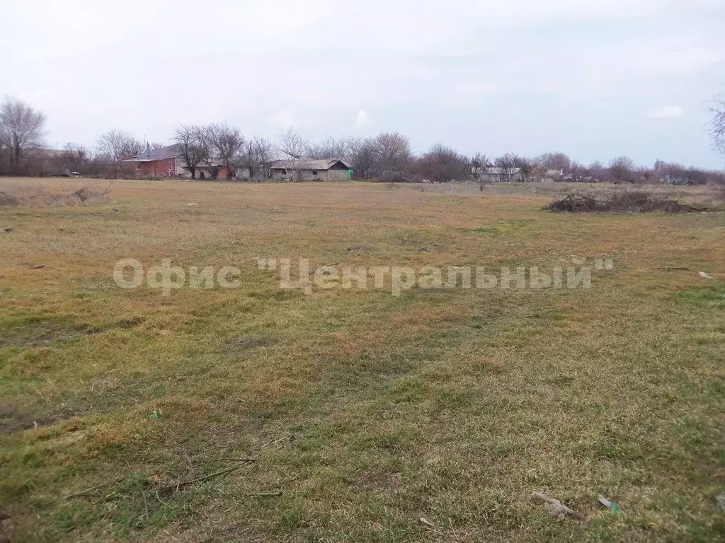 Участок в Ростовская область, Багаевский район, Манычское с/пос, ... - Фото 2