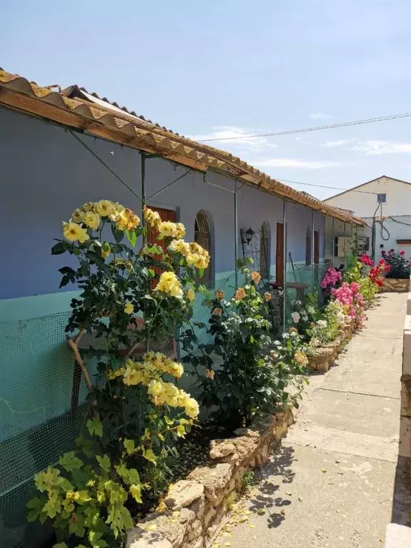 Комната Крым, Черноморское пгт, Черноморец СНТ 24 (16.0 м) - Фото 1