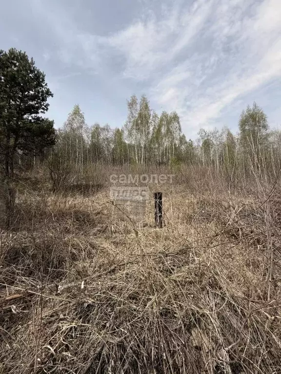 Участок в Иркутская область, Иркутский муниципальный округ, ... - Фото 2