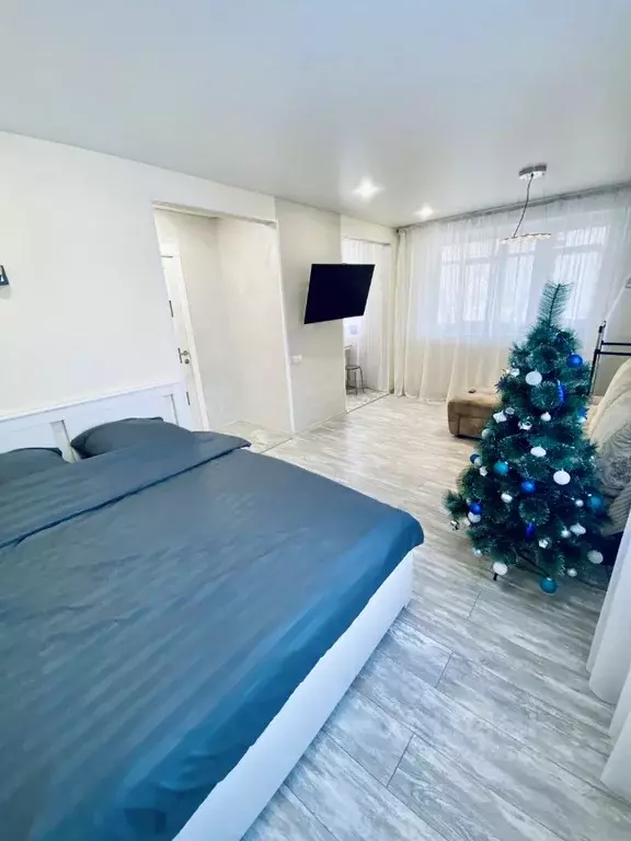 Студия Самарская область, Самара ул. Советской Армии, 145 (30.0 м) - Фото 1