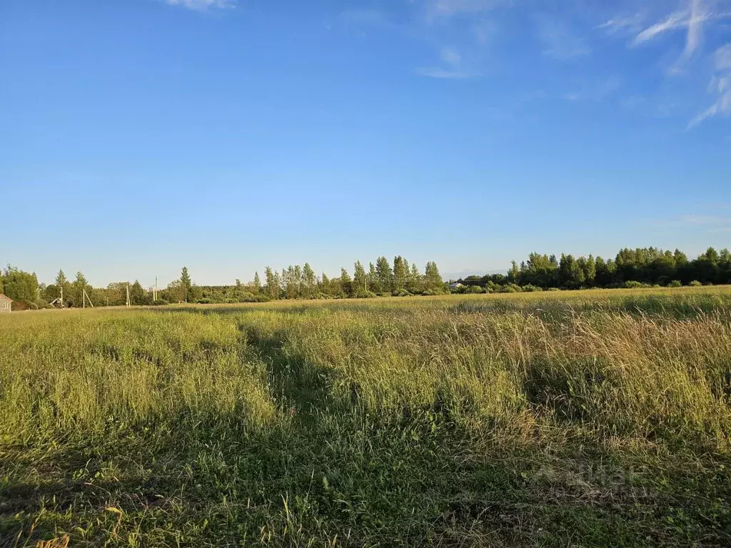 Участок в Ярославская область, Рыбинский муниципальный округ, д. ... - Фото 2