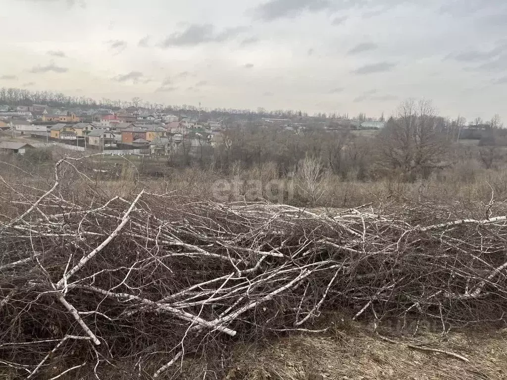Участок в Курская область, Курский район, Нижнемедведицкий сельсовет, ... - Фото 0