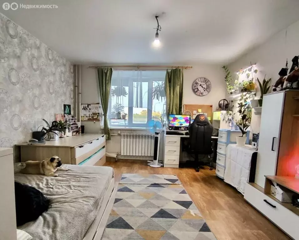 Квартира-студия: Тамбов, Запрудная улица, 8 (34.3 м) - Фото 1