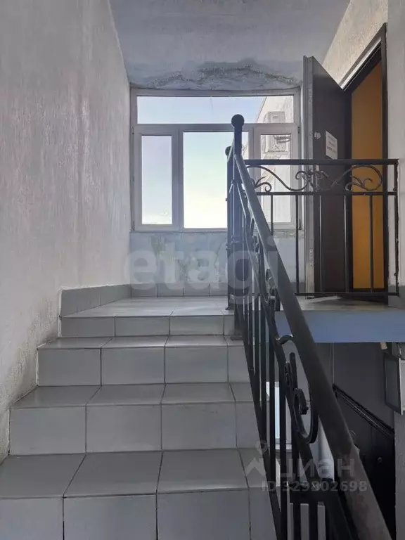 Помещение свободного назначения в Курганская область, Курган ул. ... - Фото 1