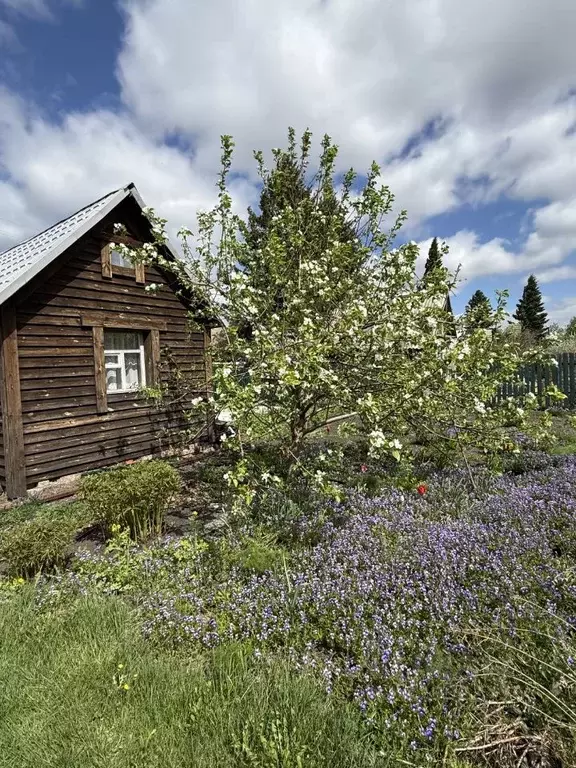 Дом в Омская область, Омск СНТ Виктория ТСН, 448 (16 м) - Фото 1