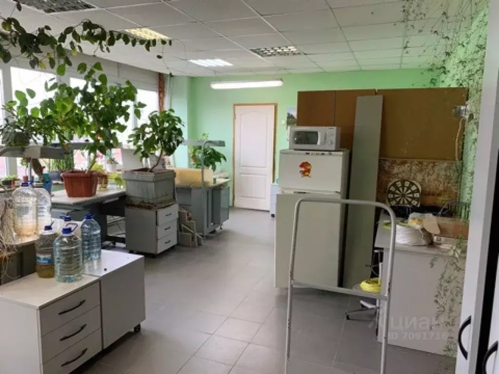 Офис в Свердловская область, Екатеринбург ул. Щорса, 7И (53 м) - Фото 1