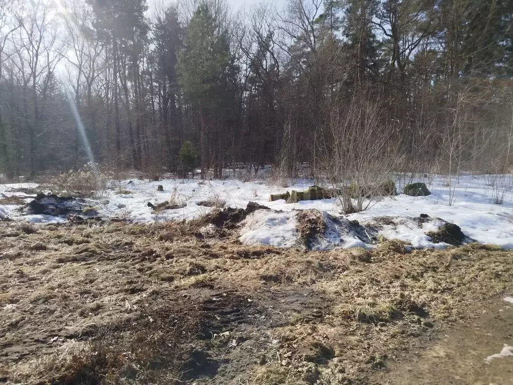 Участок в Ладушкин, Красноармейская улица (13 м) - Фото 2