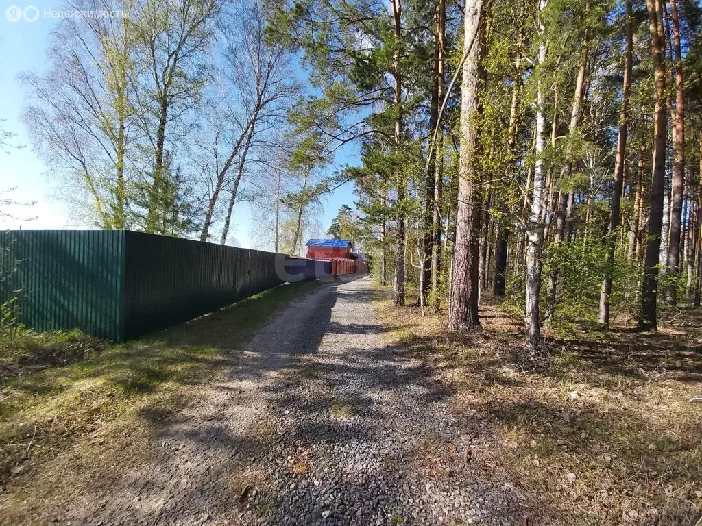 Участок в Тюмень, ТСН Матрёшка, Терновая улица (7.5 м) - Фото 2