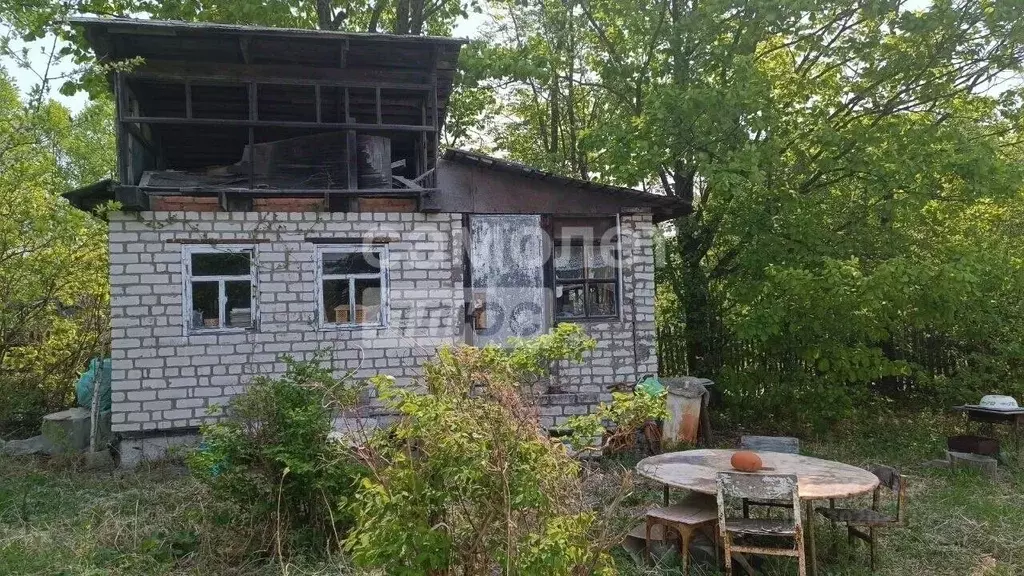 Участок в Приморский край, Надеждинский муниципальный округ, пос. ... - Фото 1