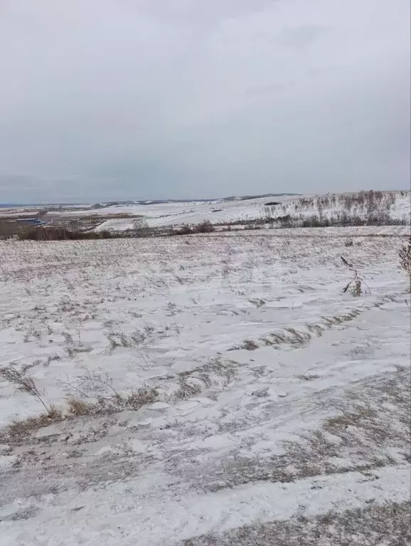 Участок в Красноярский край, Красноярск городской округ, Березовка ... - Фото 1