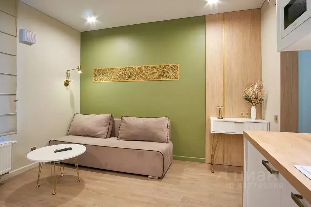 Студия Новосибирская область, Новосибирск Ипподромская ул., 12 (22.0 ... - Фото 2