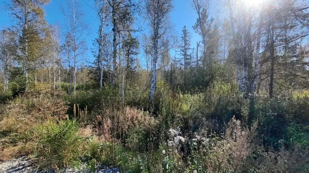 Участок в Свердловская область, Верхняя Пышма городской округ, с. ... - Фото 1