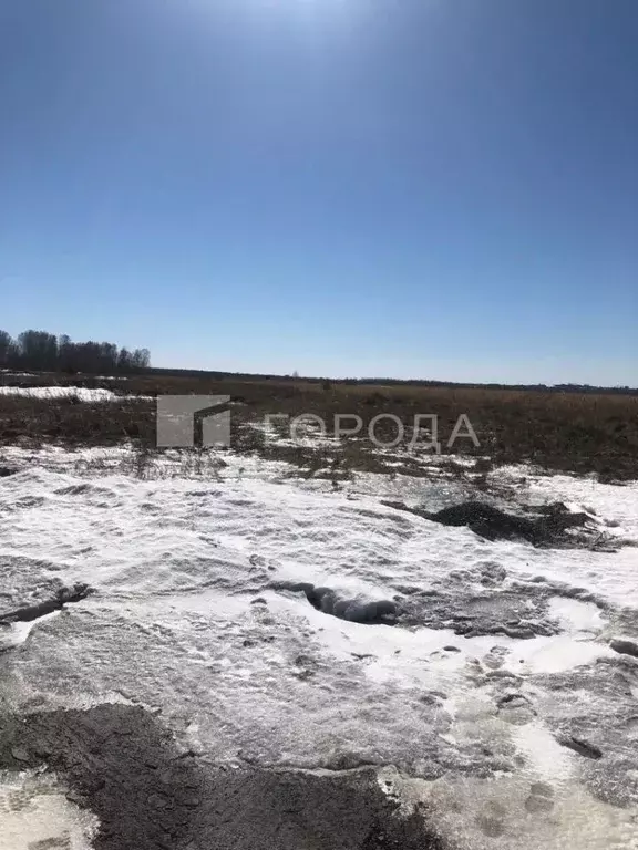 Участок в Новосибирская область, Новосибирский район, Криводановский ... - Фото 0