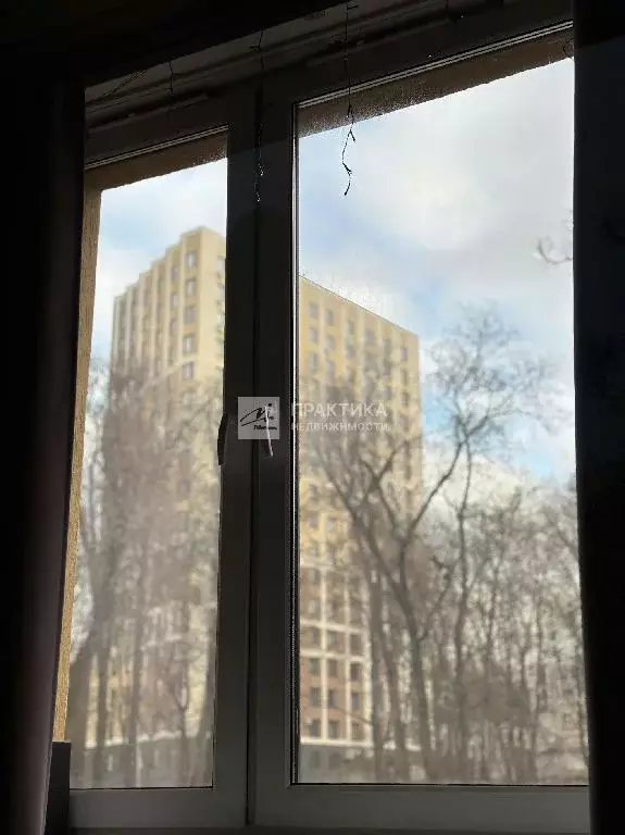 Продается студия - Фото 1