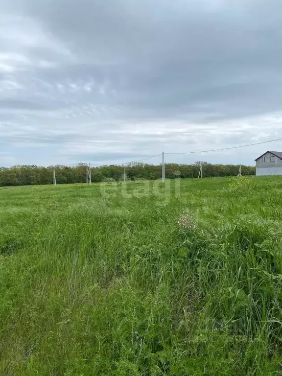 Участок в Краснодарский край, Новороссийск городской округ, ... - Фото 0