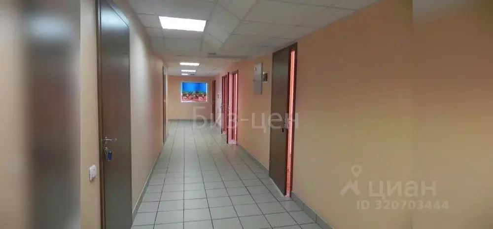 Офис в Московская область, Балашиха Звездная ул., 7б (34 м) - Фото 2