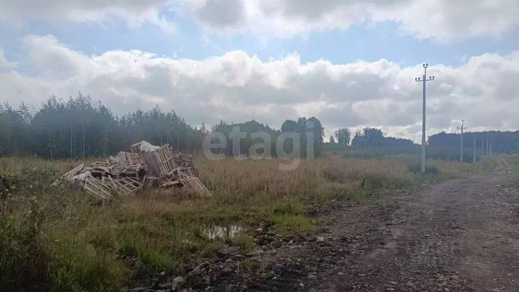Участок в Новосибирская область, Новосибирский район, Станционный ... - Фото 2