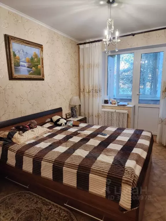 2-к кв. Амурская область, Благовещенск Студенческая ул., 28 (49.8 м) - Фото 1