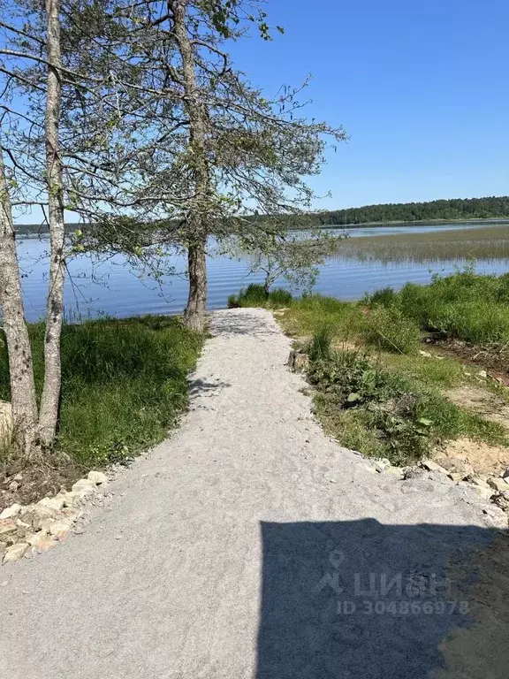 Участок в Ленинградская область, Всеволожский район, Куйвозовское ... - Фото 0