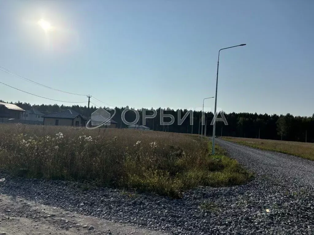 Участок в Тюменская область, Тюменский муниципальный округ, д. ... - Фото 2