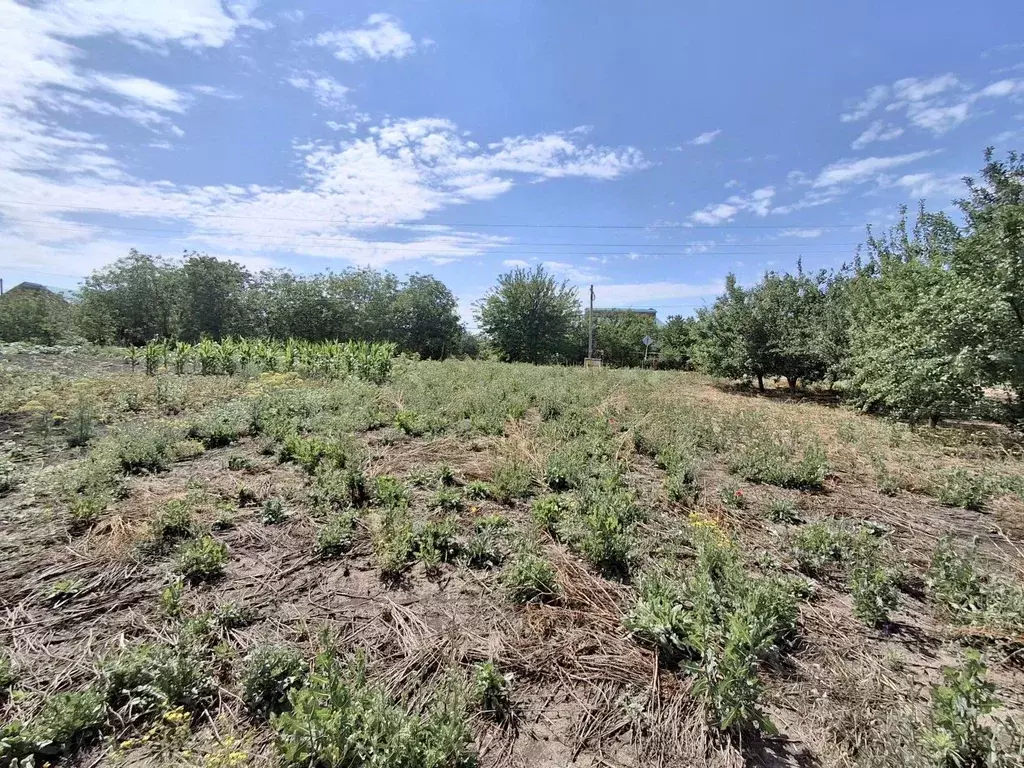 Участок в Краснодарский край, Ейский район, Александровское с/пос, с. ... - Фото 1