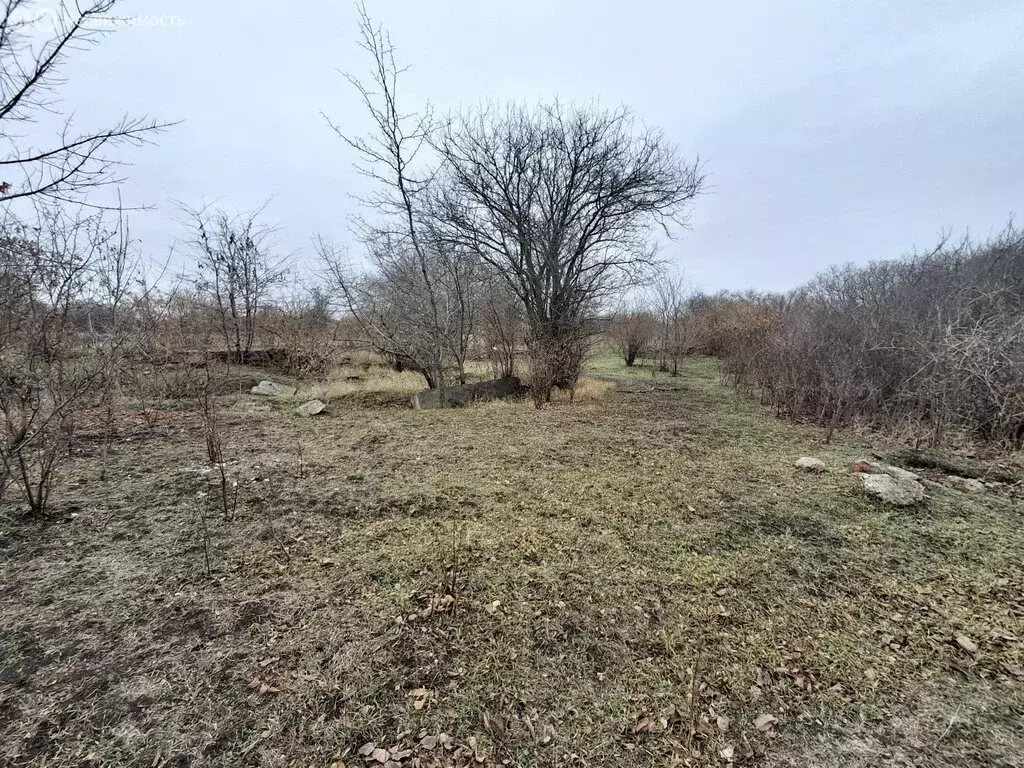 Участок в Ейск, садоводческое товарищество Весна (5 м) - Фото 0