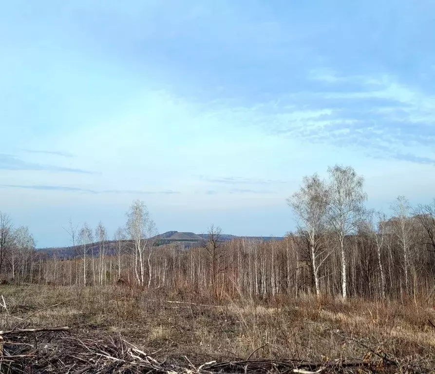 Участок в Башкортостан, Октябрьский Приозерный мкр,  (8.0 сот.) - Фото 1