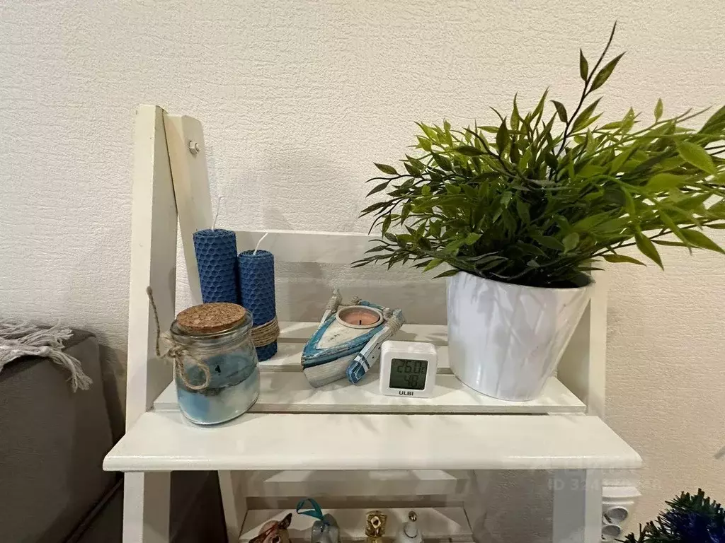 1-к кв. Нижегородская область, Нижний Новгород 2-я Оранжерейная ул., ... - Фото 2