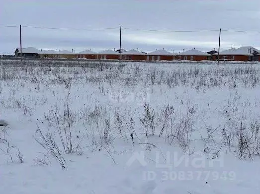 Участок в Оренбургская область, Оренбургский район, с. Благословенка  ... - Фото 1