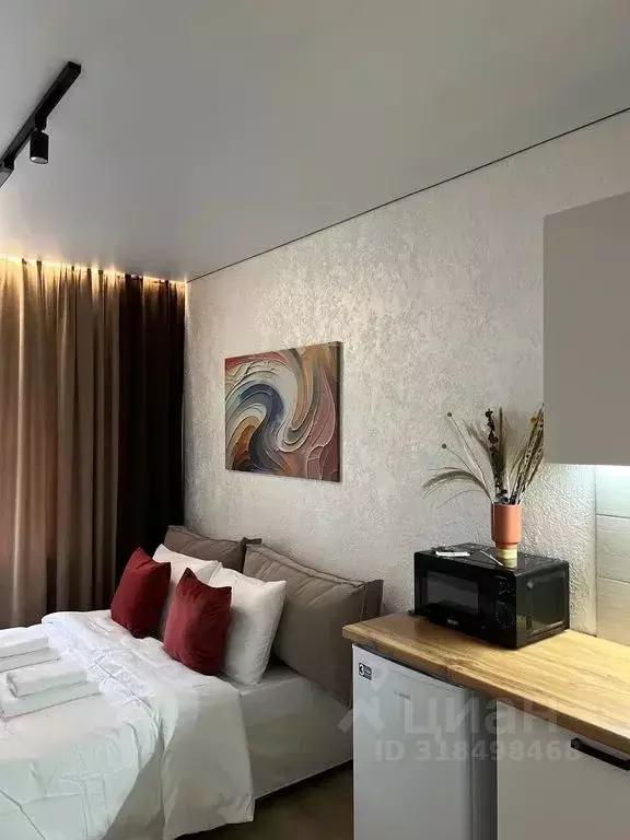 Студия Иркутская область, Иркутск Гусарская тер., 8 (19.0 м) - Фото 0