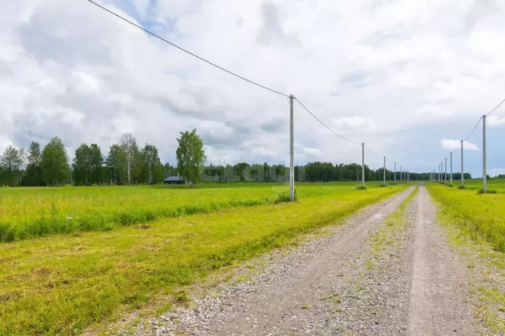 Участок в Тюменская область, Тюменский муниципальный округ, Дачи Хюгге ... - Фото 1