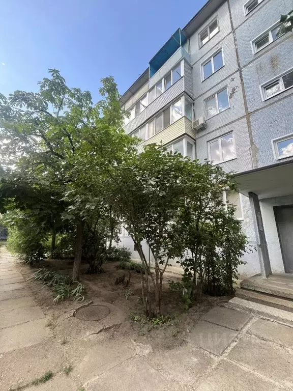 3-к кв. Волгоградская область, Камышин ул. Гагарина, 153 (60.0 м) - Фото 2