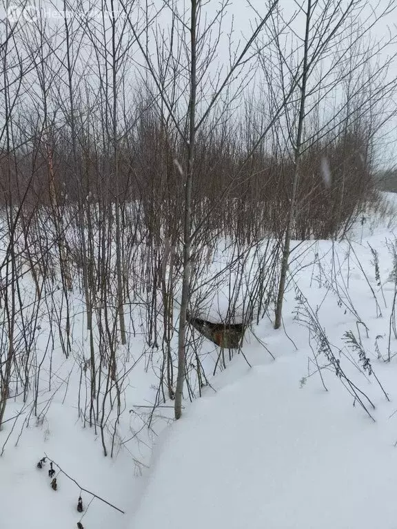 Участок в Котлас, улица Попова (8.71 м) - Фото 2