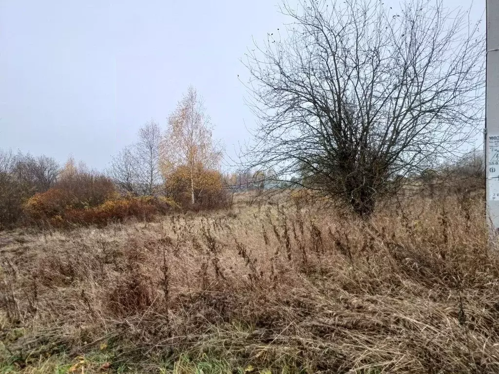 Участок в Московская область, Сергиево-Посадский городской округ, д. ... - Фото 0