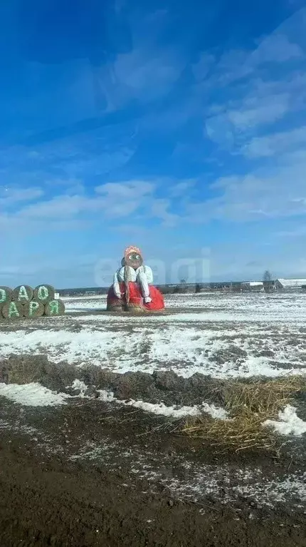 Участок в Вологодская область, д. Марфино, д. Шаньково ул. Шаньково ... - Фото 2