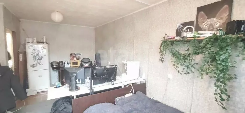 Комната Санкт-Петербург ул. Руднева, 4 (17.5 м) - Фото 1