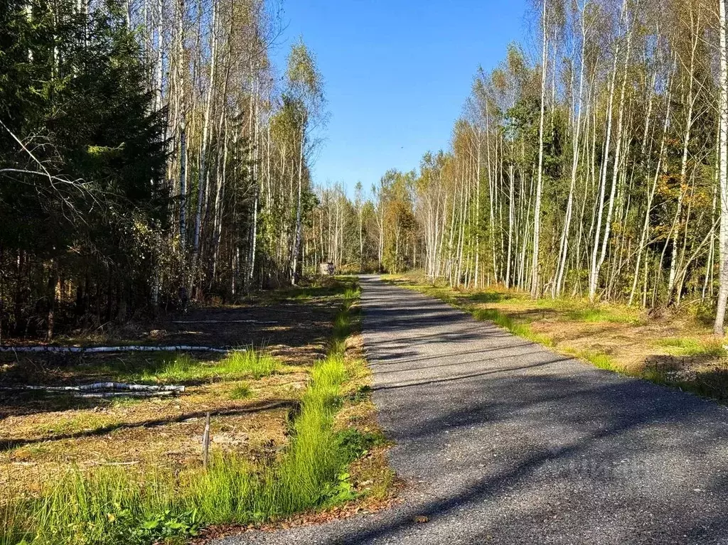 Участок в Московская область, Дмитровский муниципальный округ, ... - Фото 1