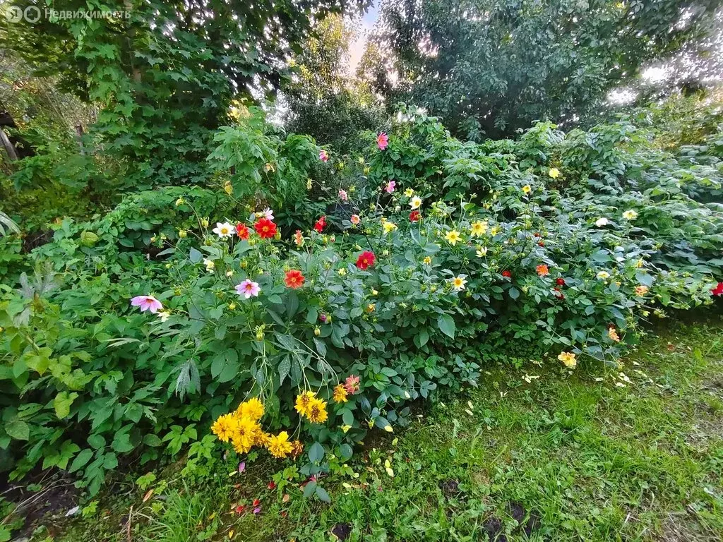 Дом в Тульская область, городской округ Тула, деревня Раздолки, ... - Фото 2