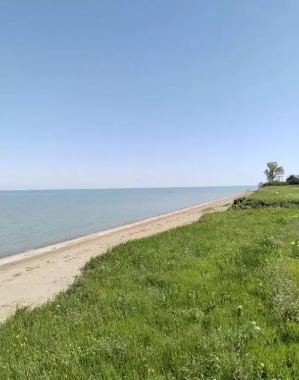 Участок в Краснодарский край, Ейский район, Кухаривское с/пос, с. ... - Фото 1