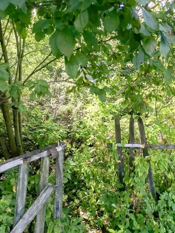 Дом в Ярославская область, Ярославль Текстильщик-2 садовое ... - Фото 1