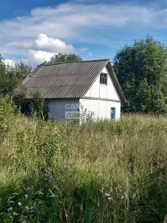 Дом в Вологодская область, д. Хрипилево  (45 м) - Фото 0