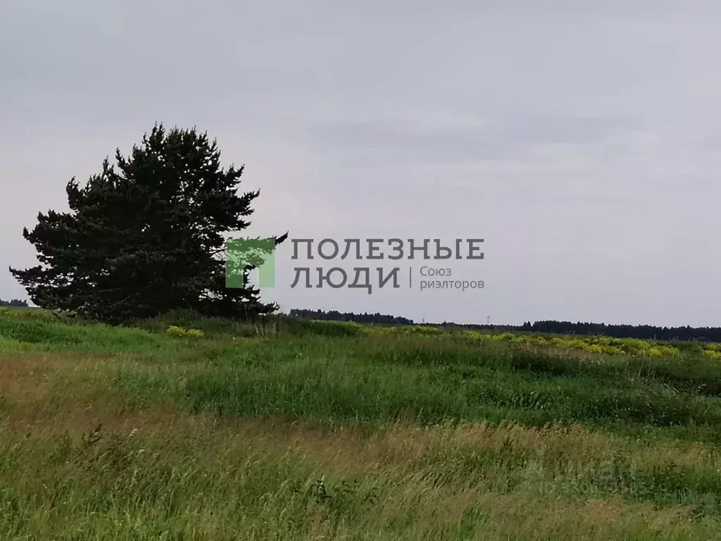 Участок в Курганская область, Курган ул. Хуторская (13.0 сот.) - Фото 1