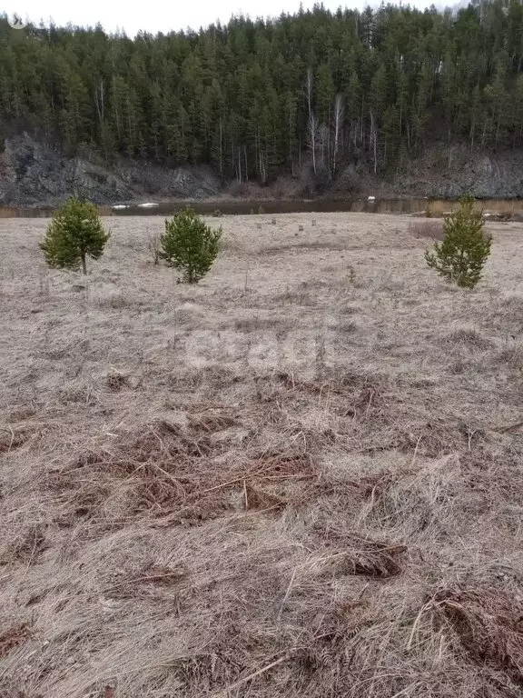 Участок в Свердловская область, муниципальное образование Алапаевское, ... - Фото 1