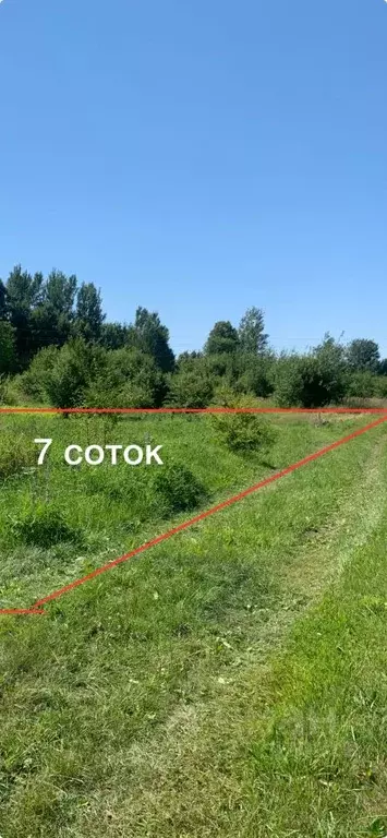 Участок в Калининградская область, Зеленоградский муниципальный округ, ... - Фото 0