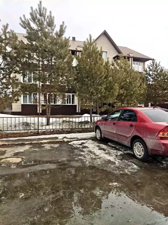 Студия Алтайский край, Новоалтайск Сибирская ул., 19 (28.5 м) - Фото 2