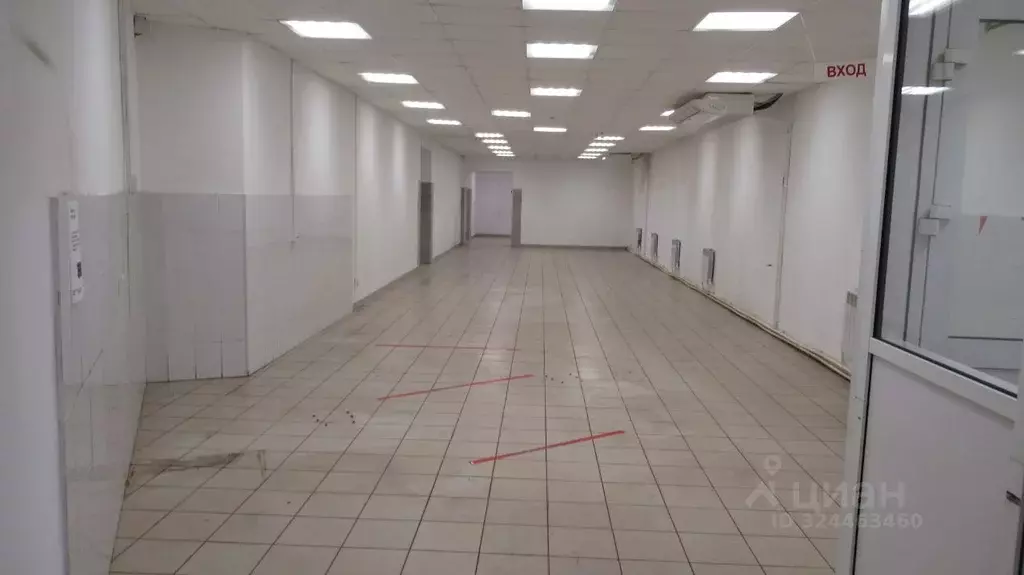 Помещение свободного назначения в Орловская область, Орел ул. МОПРа, ... - Фото 2