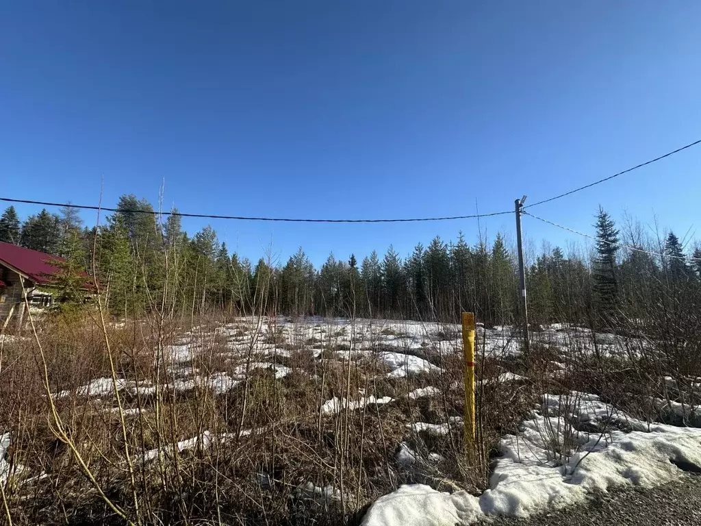 Участок в Архангельская область, Приморский муниципальный округ, д. ... - Фото 1